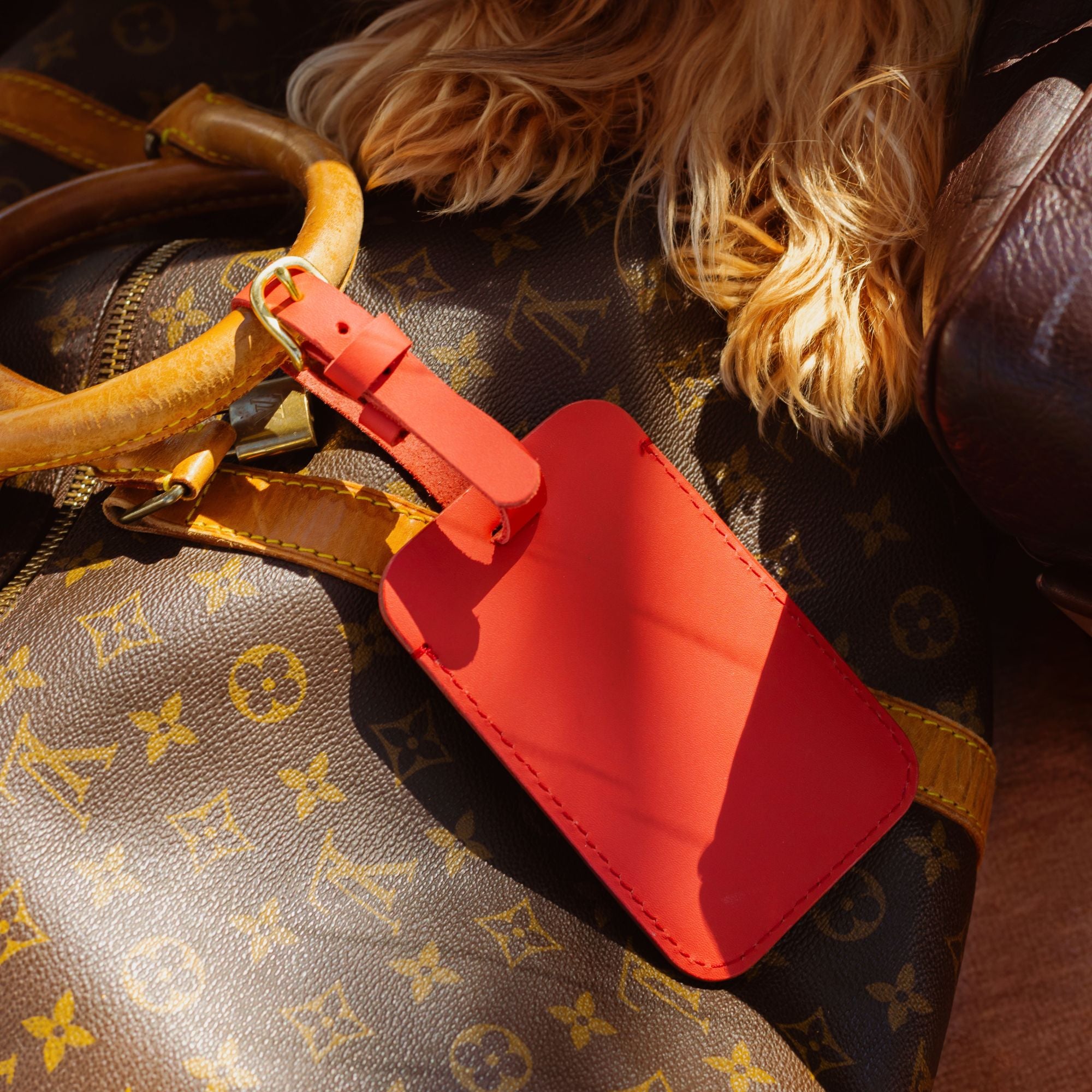 Plain Luggage Tag | Fezzy