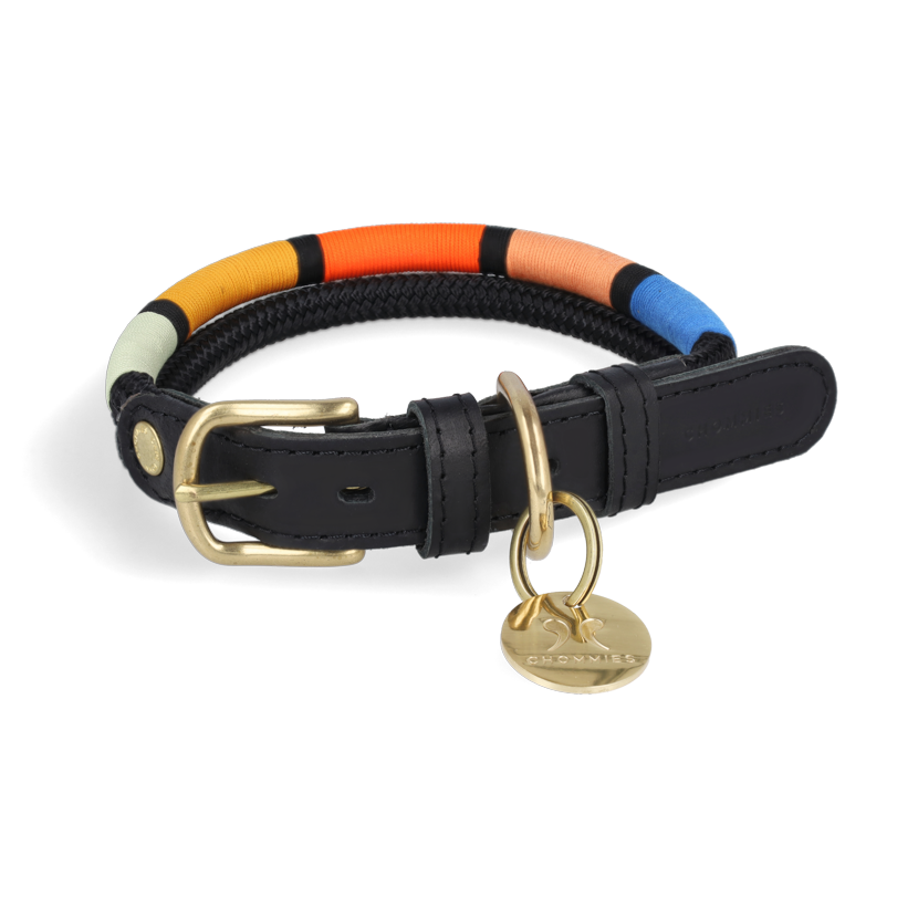 An adjustable dog collar with a striped pattern featuring multiple colors including black, with a brass buckle and a tag, displayed against a white background.