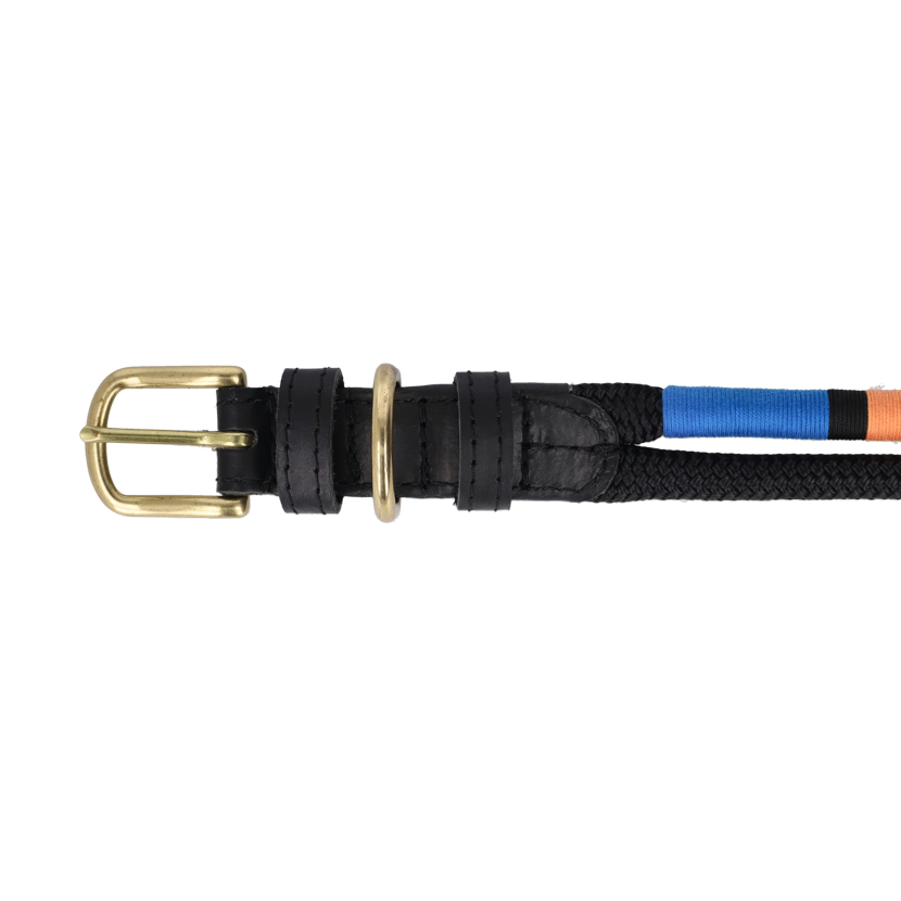 Multicolour ropped Dog collar.
