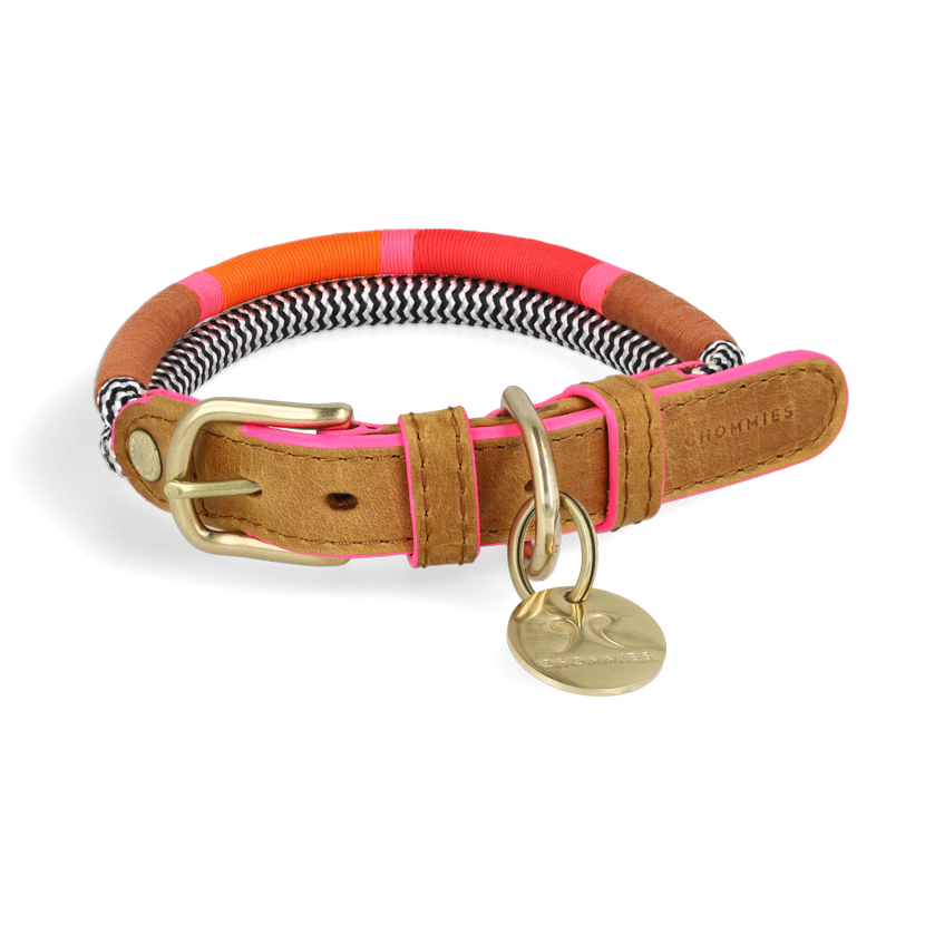 Colorful adjustable dog collar with a striped pattern, featuring a brass buckle and tag, presented on a dark background.