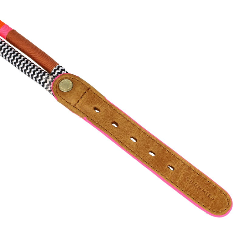Multicolour ropped Dog collar.