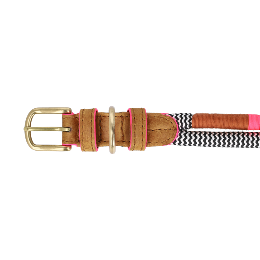 Multicolour ropped Dog collar.
