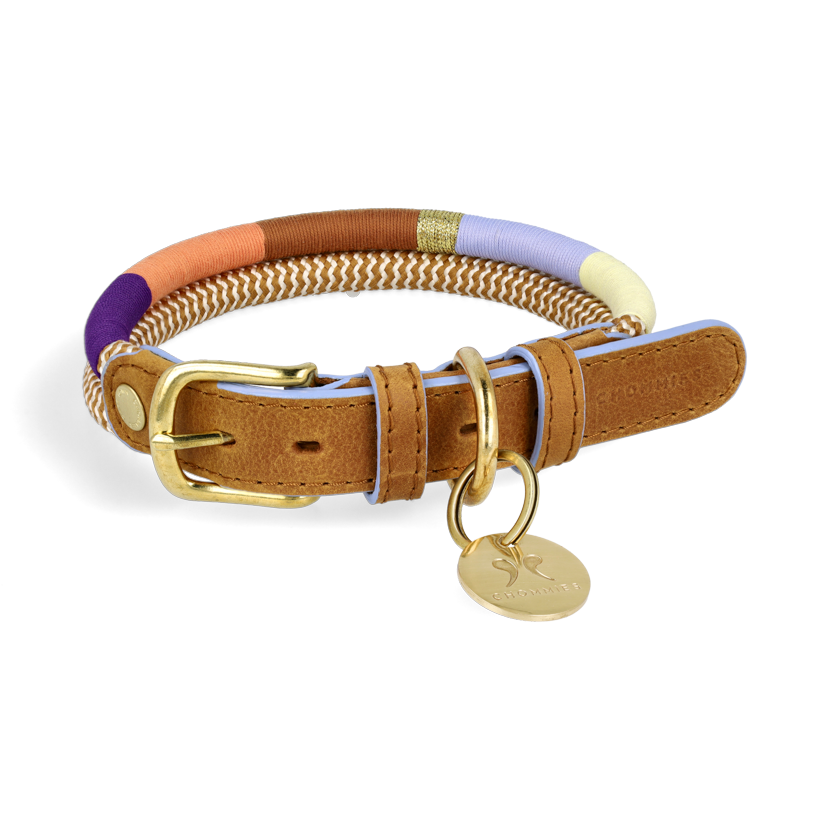 Colorful adjustable dog collar with a brass buckle and leather details, displayed against a white background.