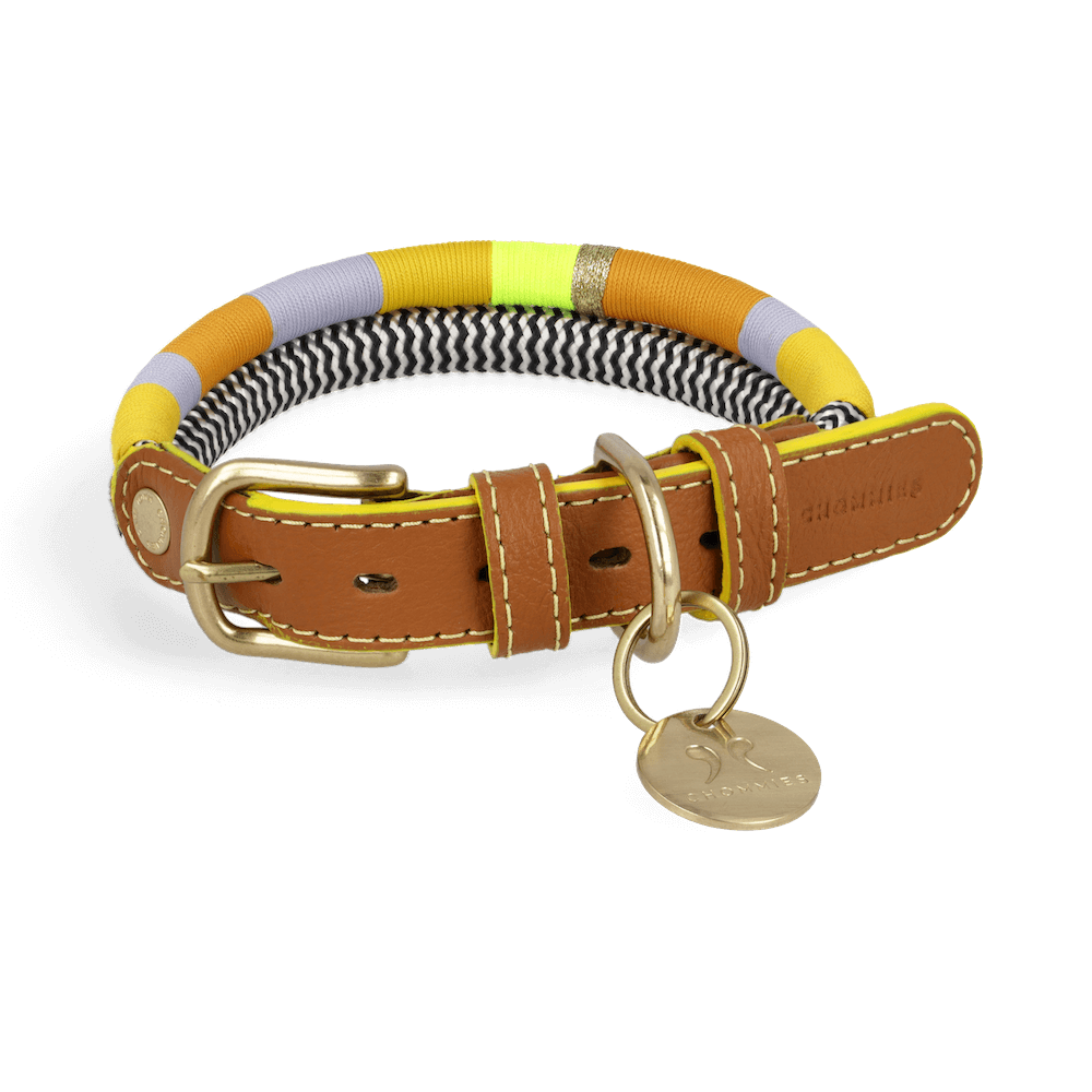 adjustable-yellow-dog-collar