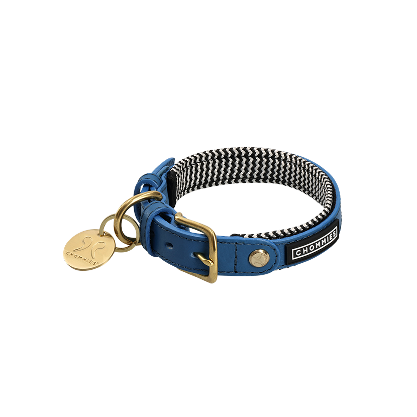 Adjustable Leather Dog Collar | Bloublommetjie