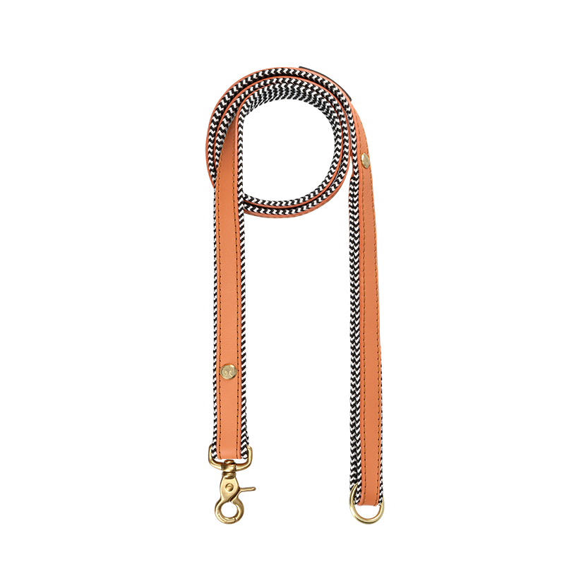 Everyday Leather Dog Leash | Apricot