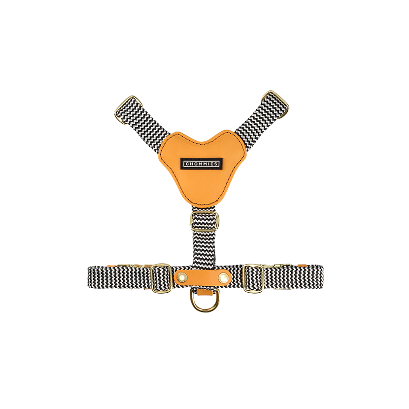 A leather dog harness in a kumquat or orange color, featuring brass fittings and a flat rope design.