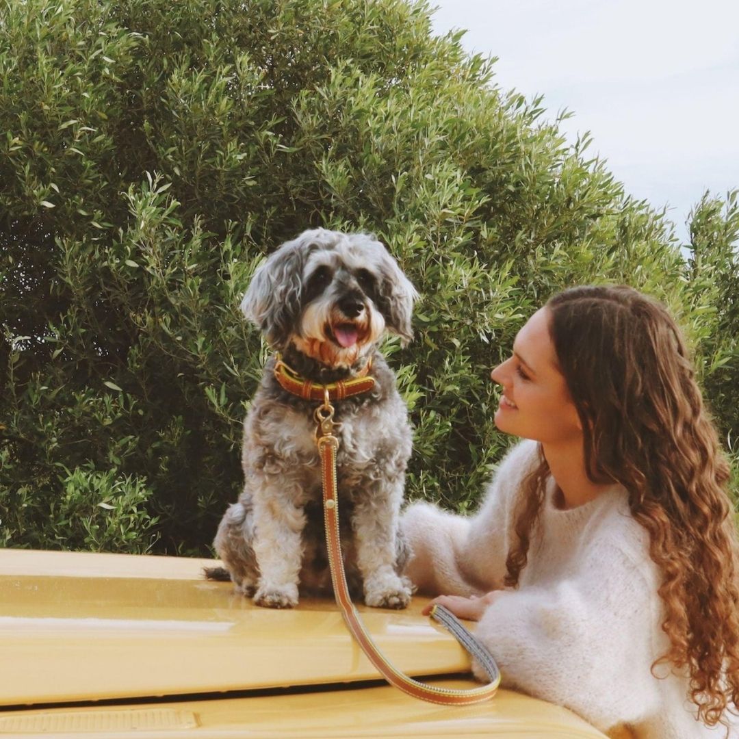 Everyday Leather Dog Leash | Cognac West