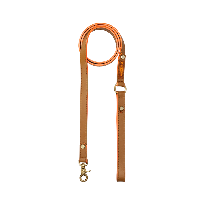 Everyday Dog Leash | Leather