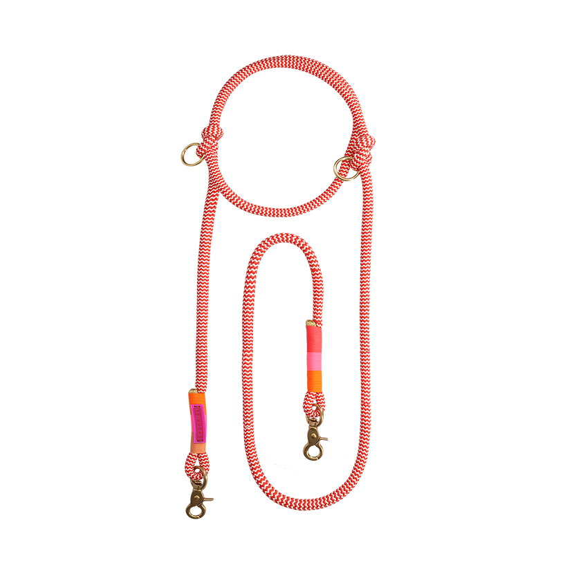 Hands-Free Dog Leash | Rope