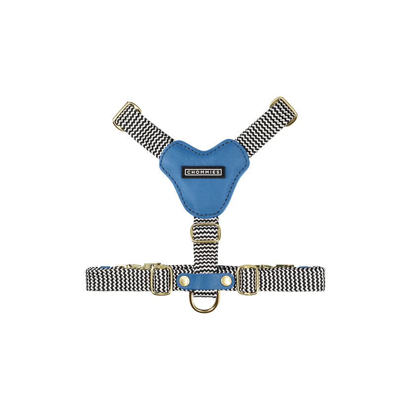 Adjustable Dog Leather Dog Harness | Bloublommetjie