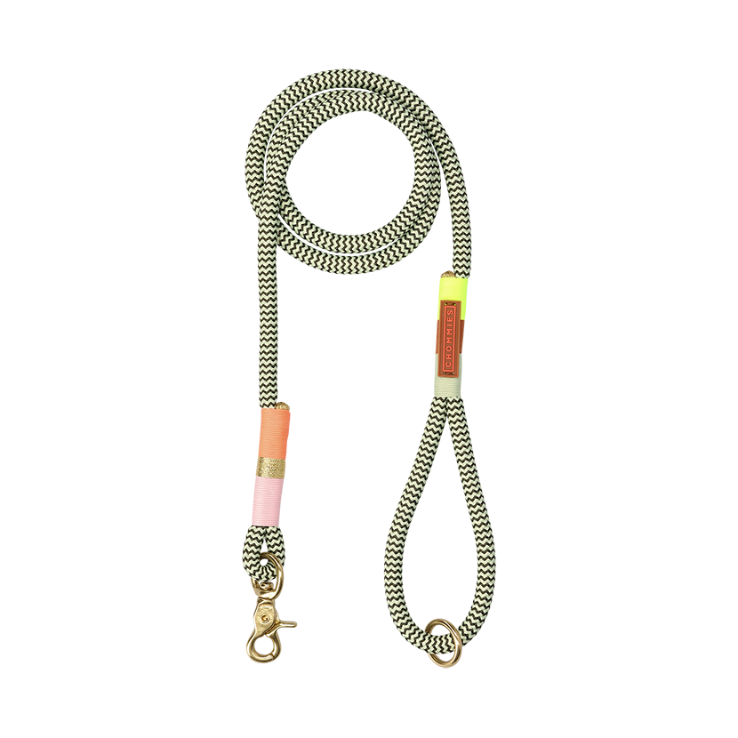 Everyday Dog Leash | Rope