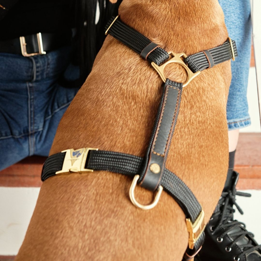 Adjustable Leather Harness | Hendrix
