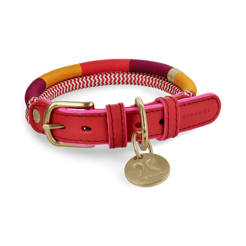 Adjustable Dog Collar | Fezzy