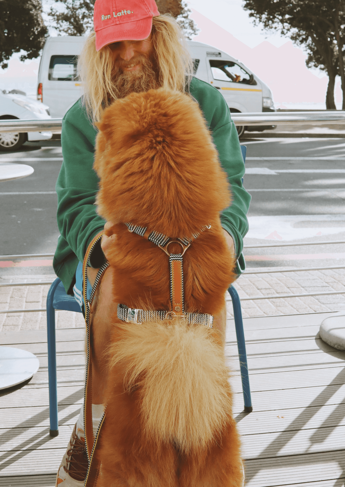 Chommies Leather Dog Harness | Cognac West
