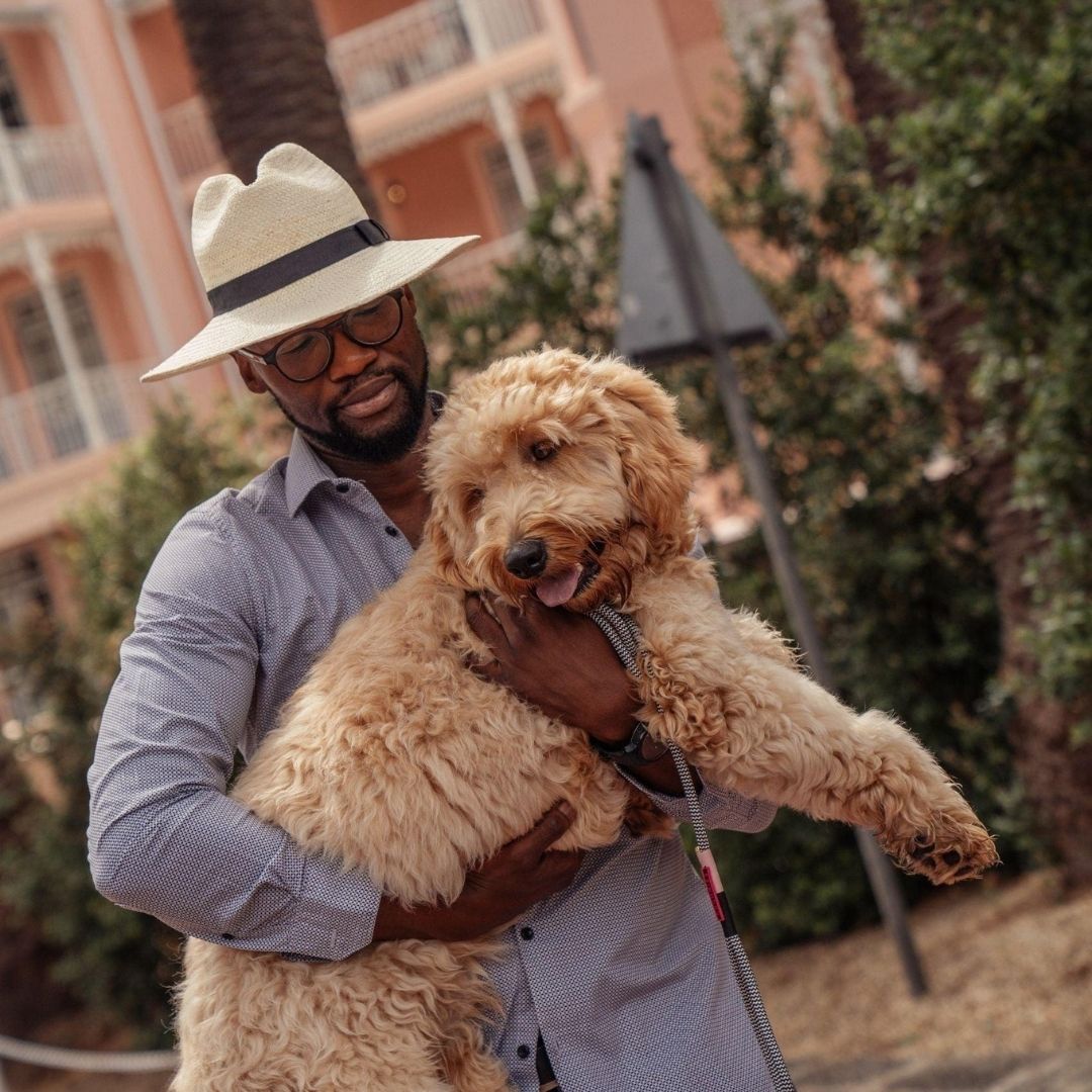 Everyday Dog Leash | Tennis Court