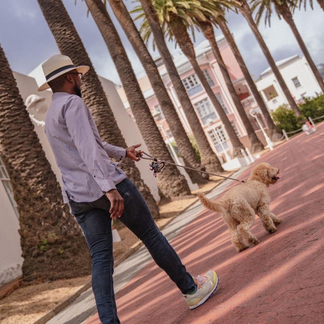 Everyday Dog Leash | Tennis Court