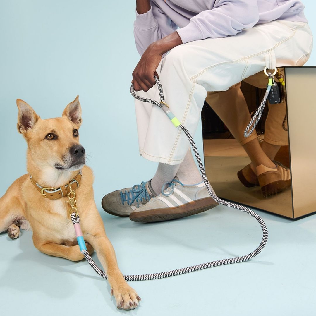 Everyday Dog Leash | Zuzu