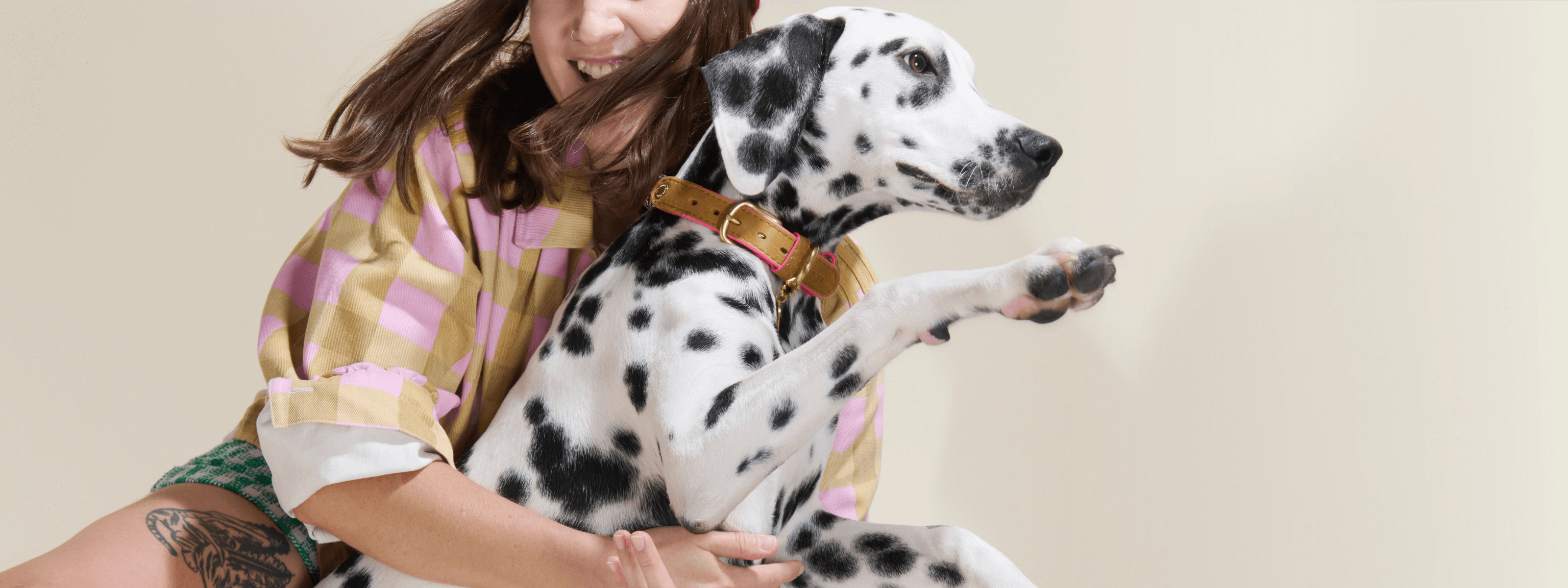 Become a Chommies Dog Model: Is Your Pup the Perfect Fit?