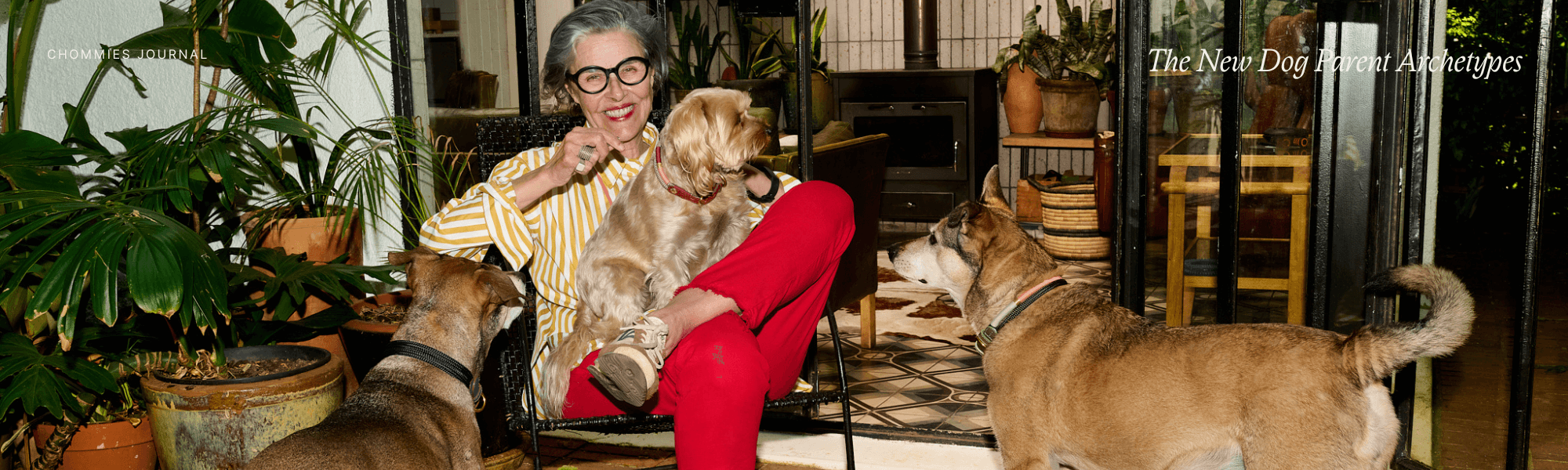 The New Dog Parent Archetypes