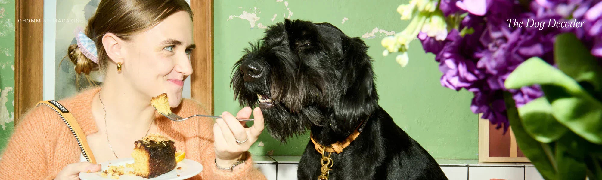 The Dog Decoder: How to Read Your Best Friend