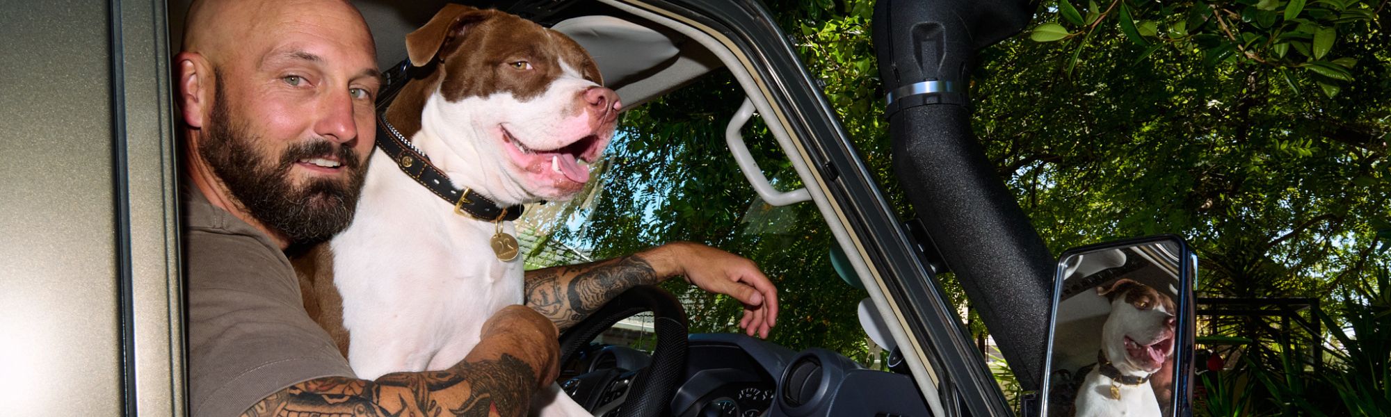 The UDN: Unofficial Dog Network