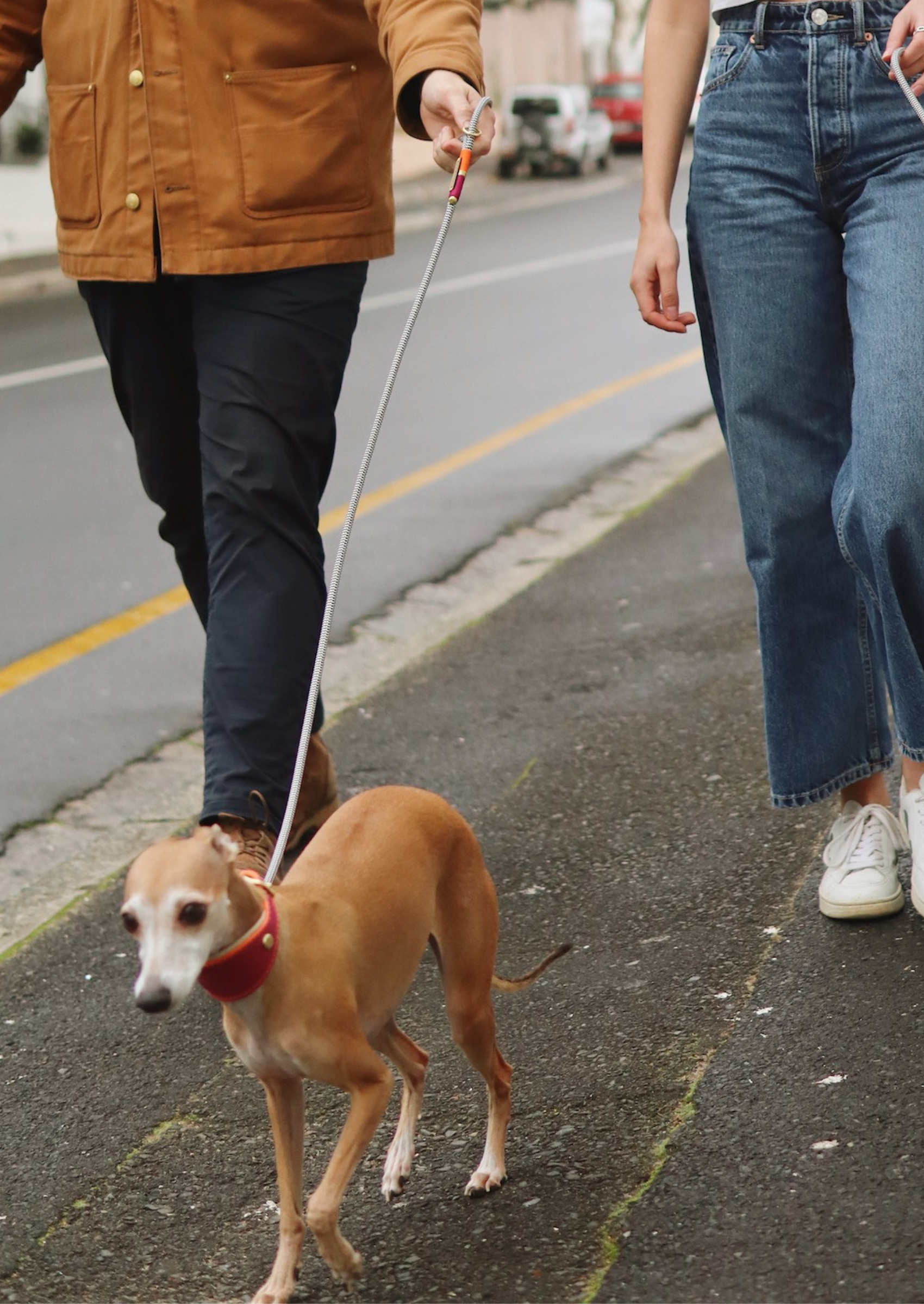 Everyday Sighthound Leash | Burna Berry