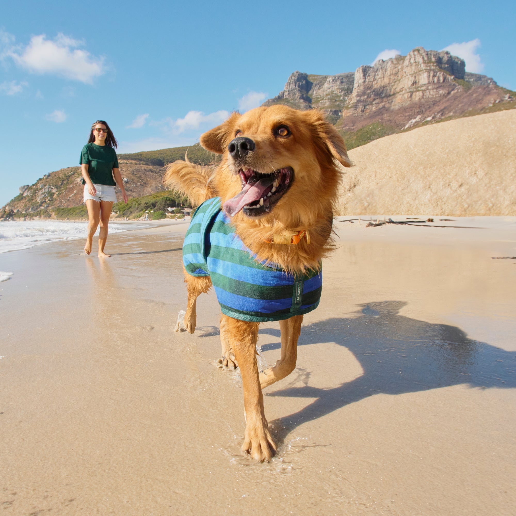 Dog Robe | Blue & Green Stripe