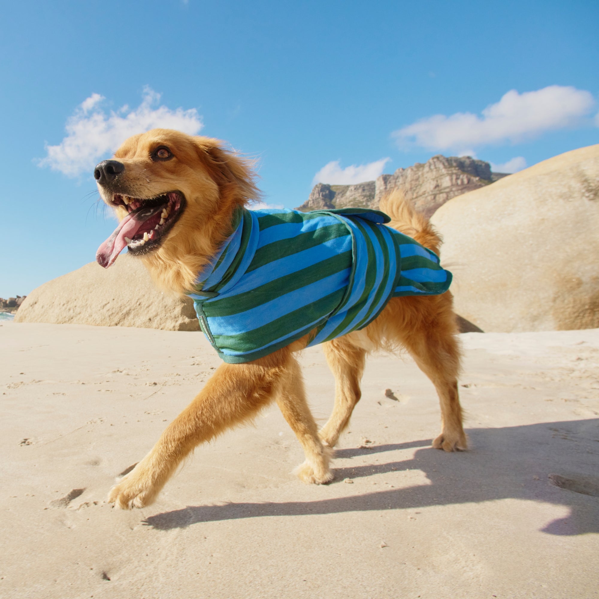 Dog Robe | Blue & Green Stripe