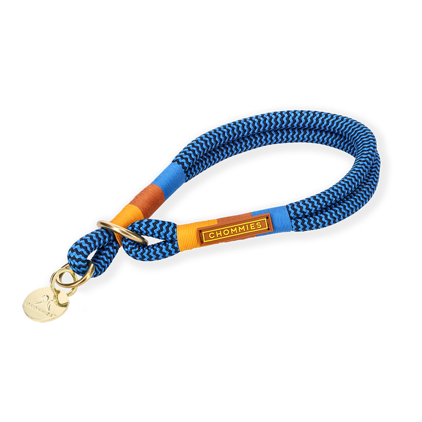 Slip-On Dog Collar