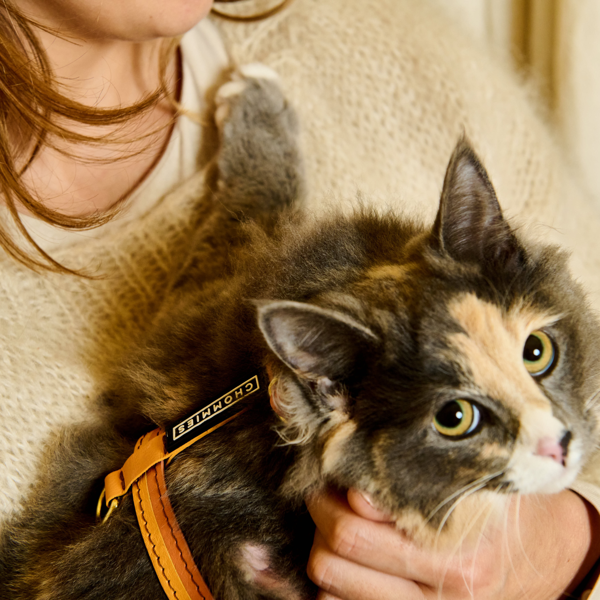 Adjustable Cat Harness