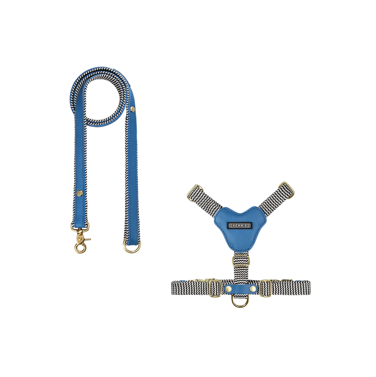 Dog Harness & Leash Bundle | Bloublommetjie