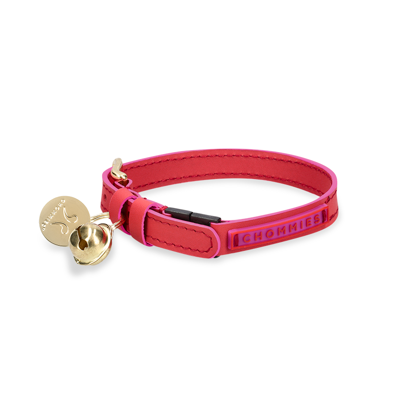 Adjustable Cat Collar | Leather