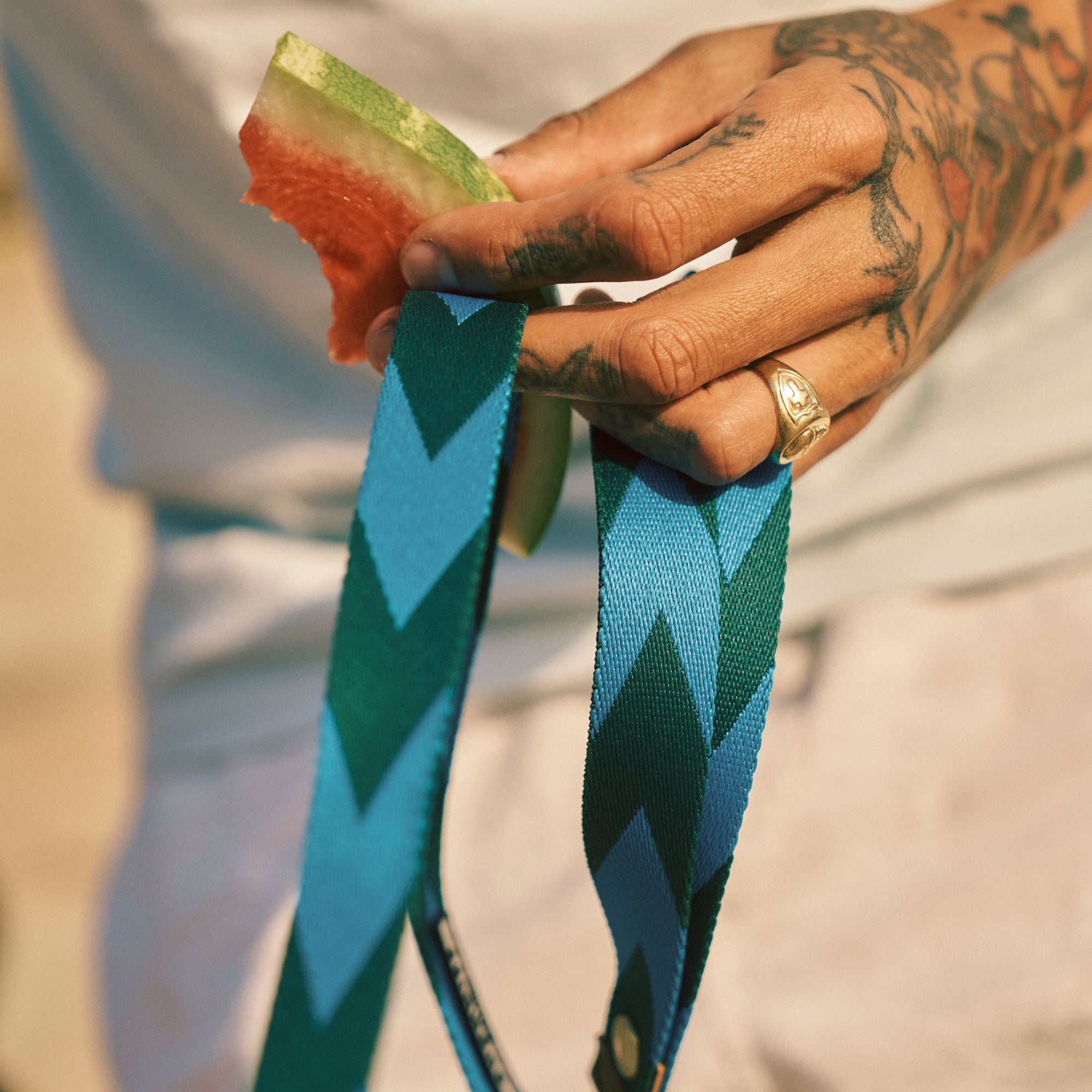 Everyday Leash | Blue & Green