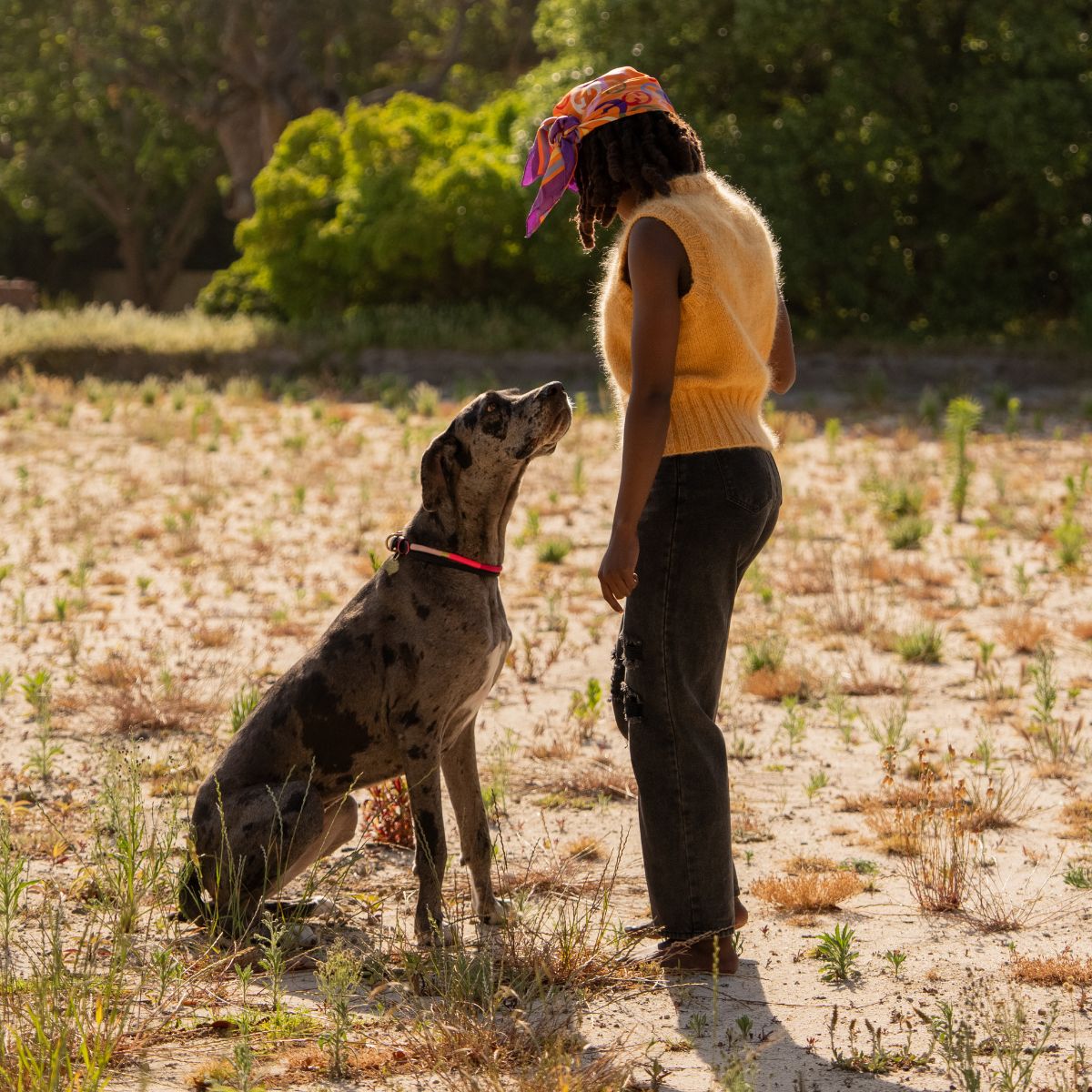 Chommies African Haze Collection Rope Dog Collars