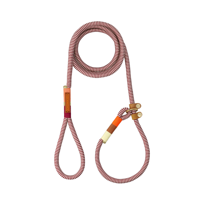 Slip-On Dog Leash