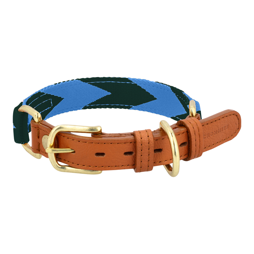 Adjustable Dog Collar | Blue & Green