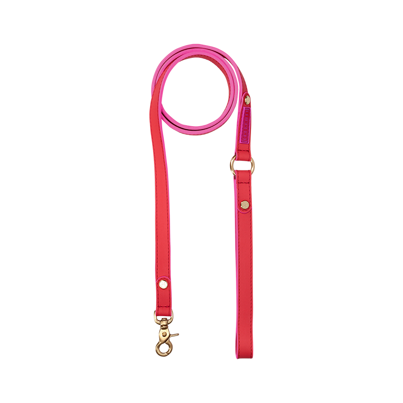 Everyday Dog Leash | Leather