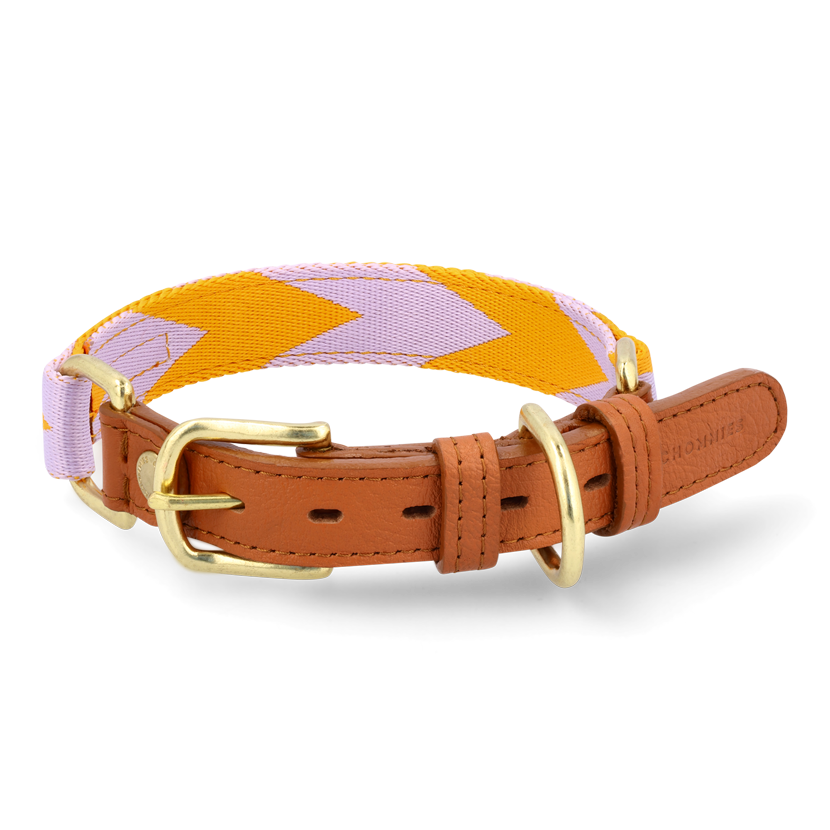 Adjustable Dog Collar | Lilac & Yellow