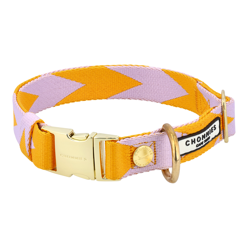 Adjustable Quick-Release Collar | Lilac & Yellow