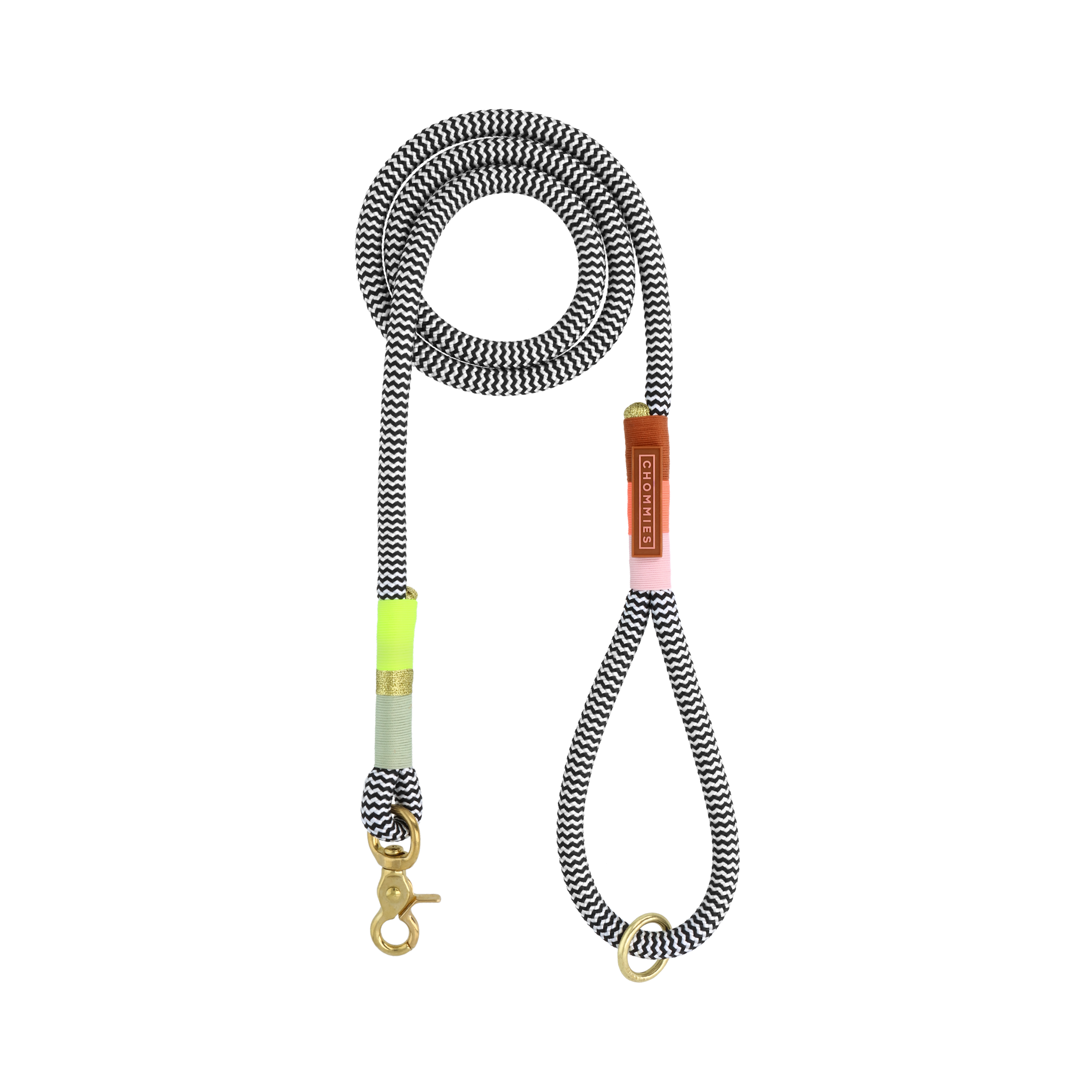 Everyday Dog Leash | Popsicle