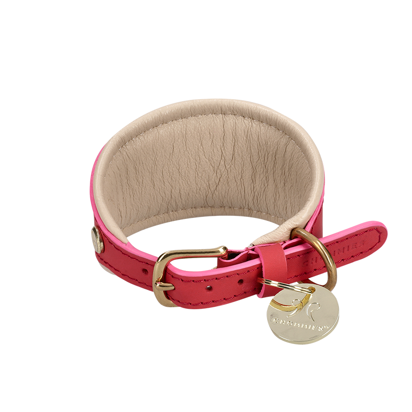 Adjustable Dog Collar | Sighthound