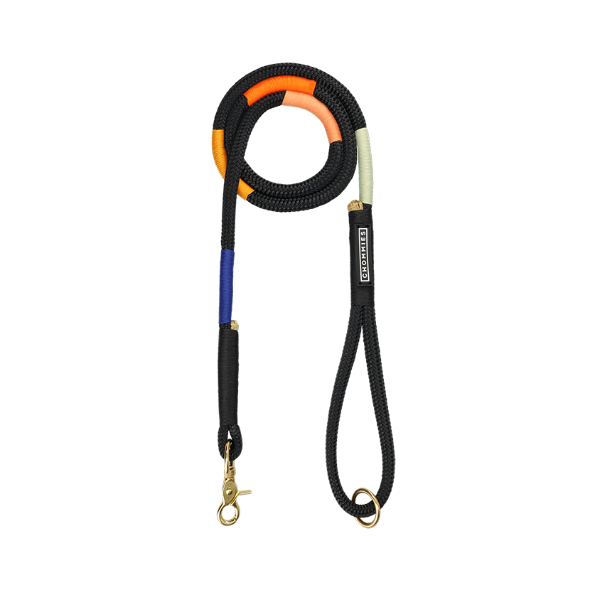 Everyday Dog Leash | Rope