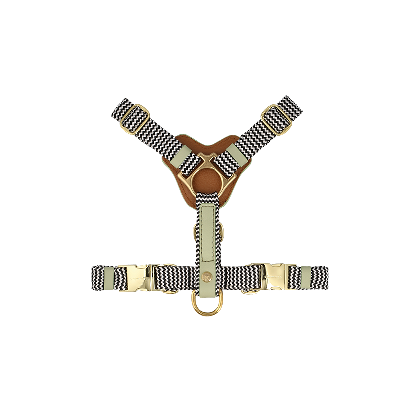 Adjustable Leather Dog Harness | Buchu