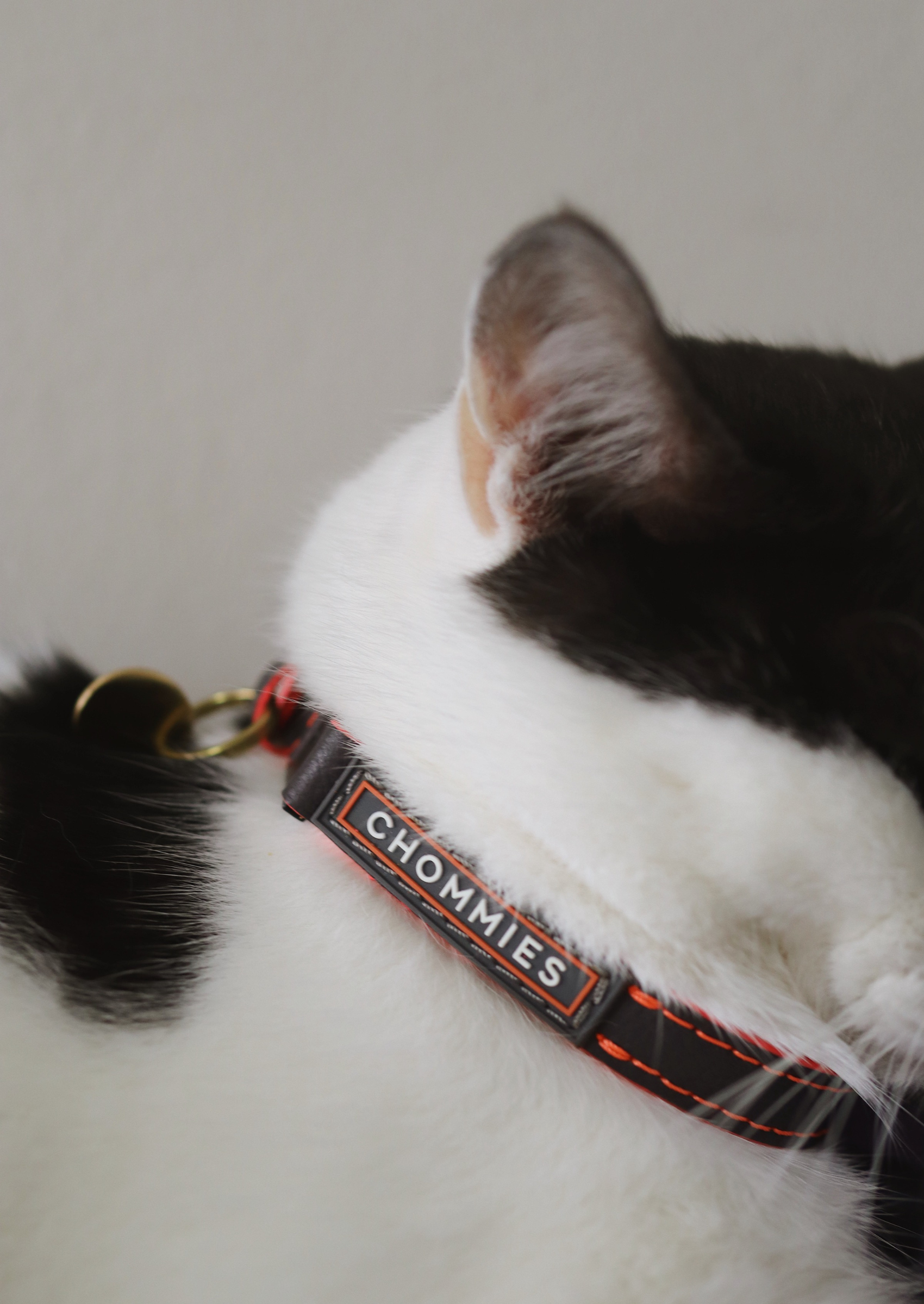 Adjustable Quick-Release Leather Cat Collar | Grey Z