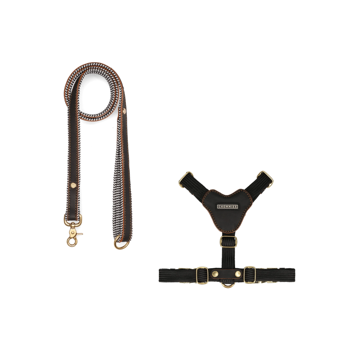 Dog Harness & Leash Bundle |  Hendrix