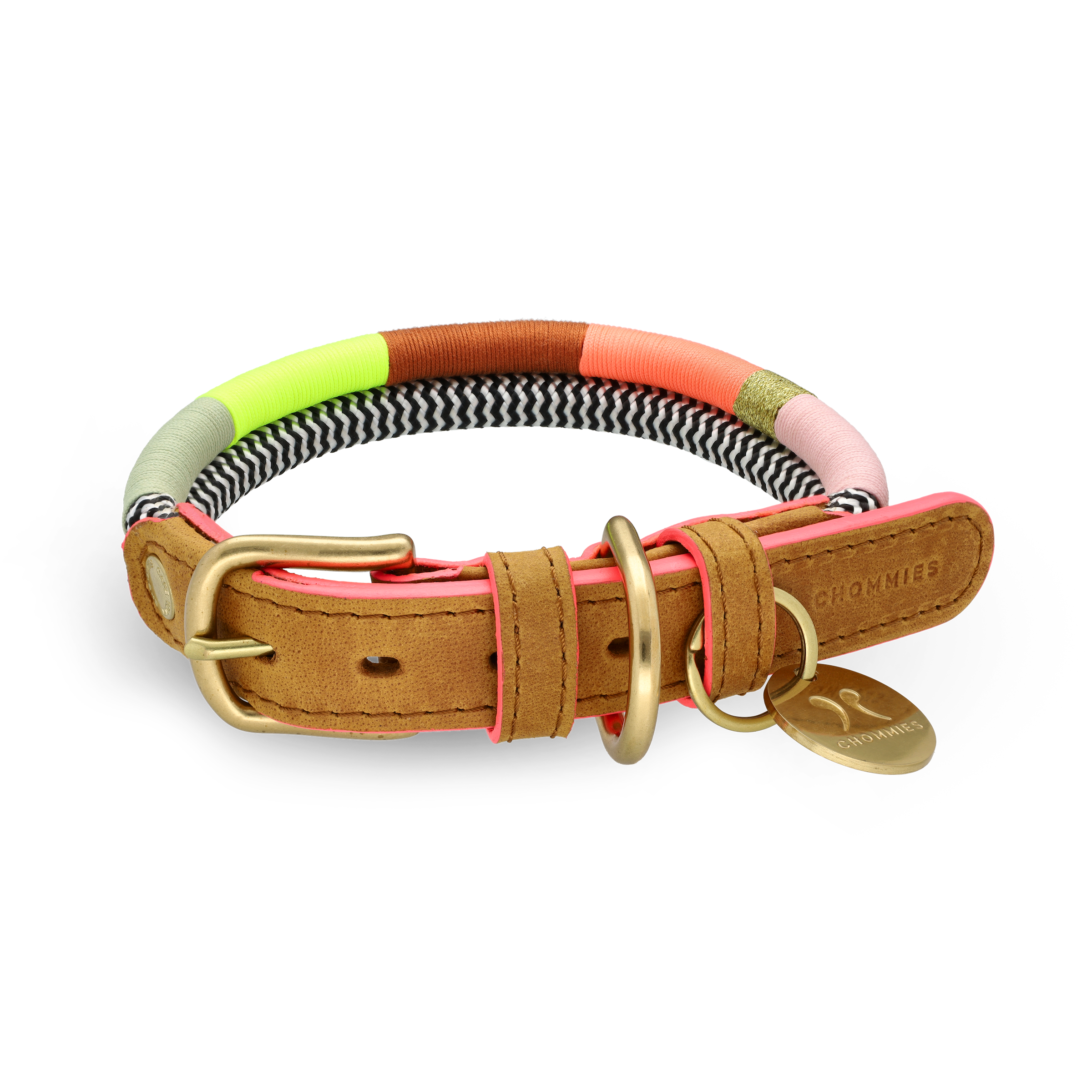 Adjustable Dog Collar | Popsicle