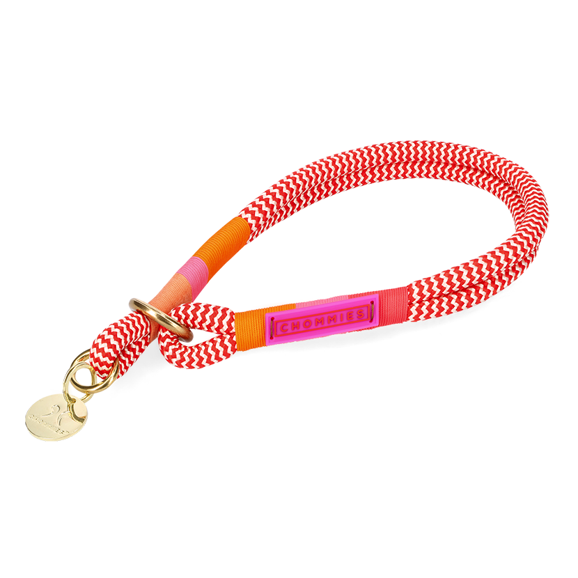 Slip-On Dog Collar