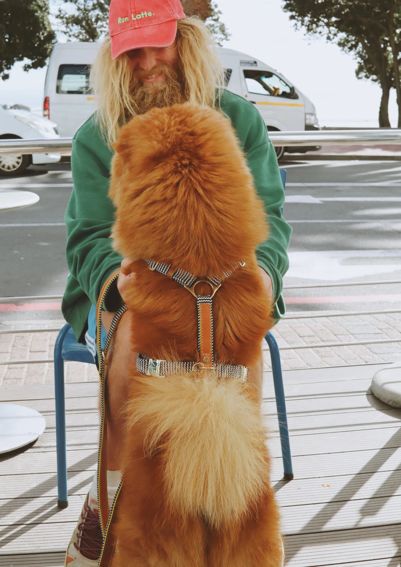 Adjustable Leather Dog Harness | Cognac West