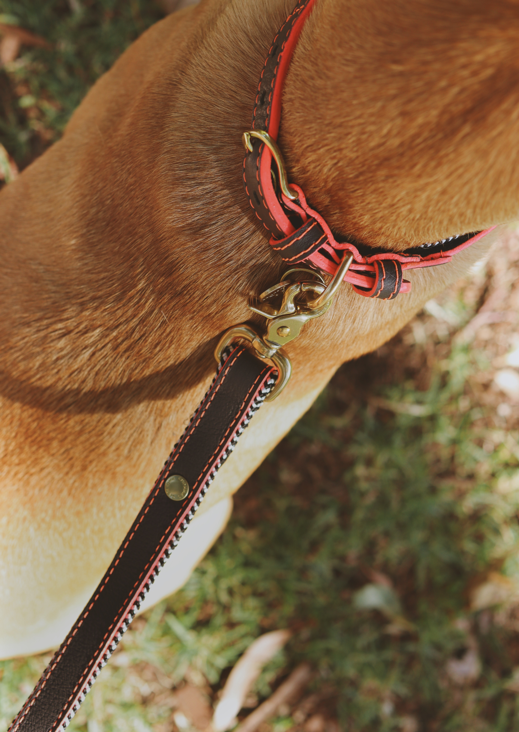 Everyday Leather Dog Leash | Grey Z